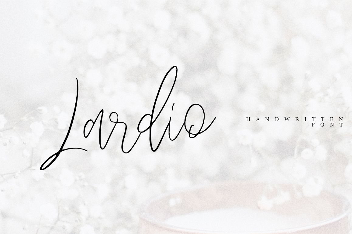 Lardio example image 1