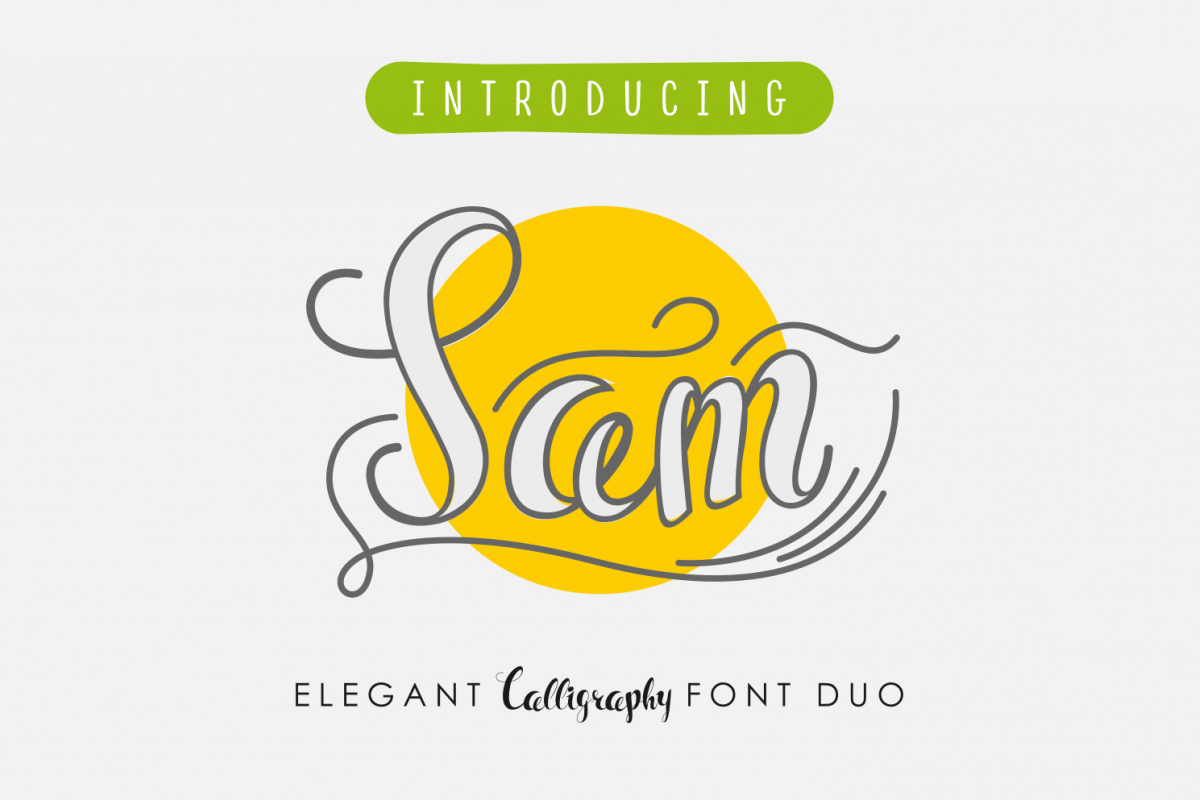 Sam example image 1