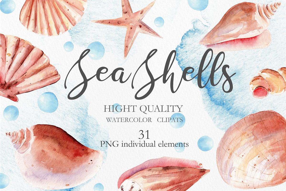 Seashells Clipart Collection example image 1