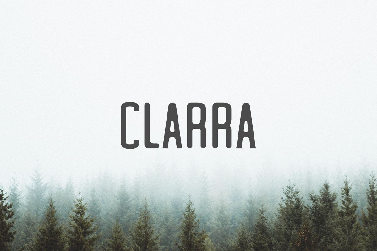 Clarra Sans Serif Font Family example image 1