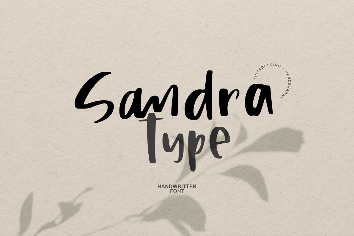 Sandra example image 1