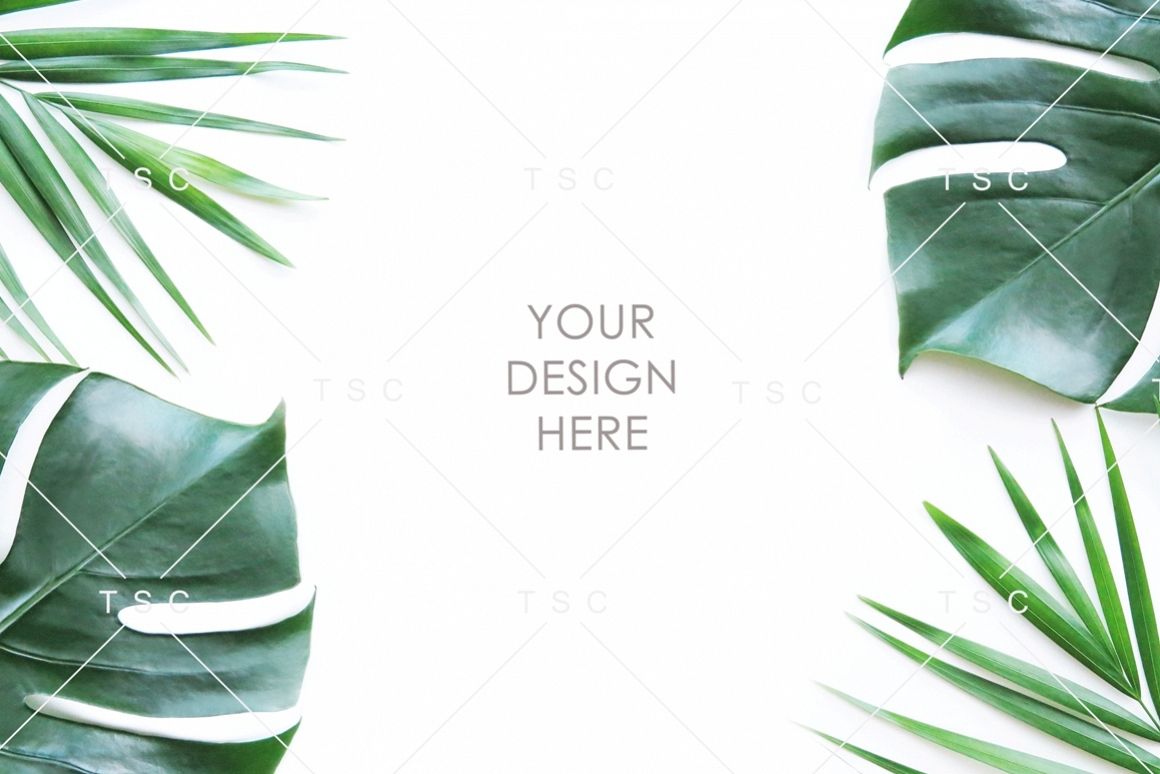 Tropical Leaves Stock Photo example image 1