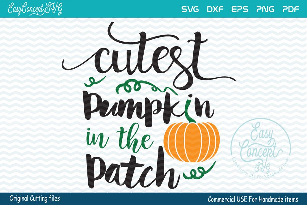 Cutest Pumpkin In The Patch example image 1