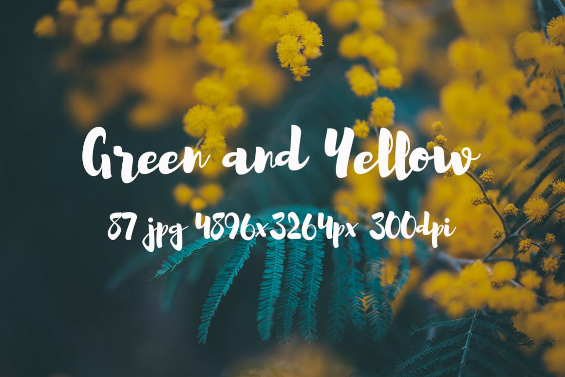Green and yellow Pack example image 1