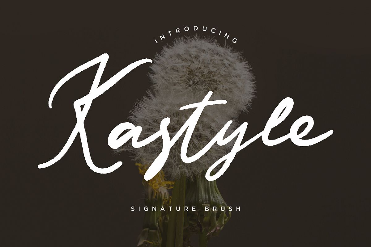 Kastyle Signature Brush example image 1