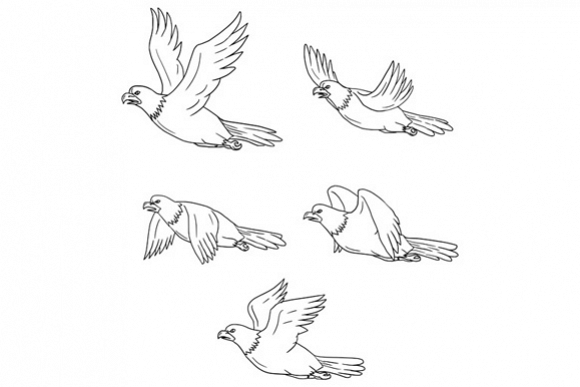 Eagle Flying Side Cartoon Collection Set example image 1