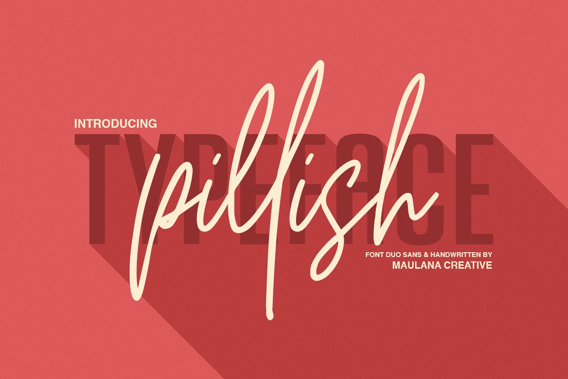 Pillish Font Duo - Sans And Script example image 1