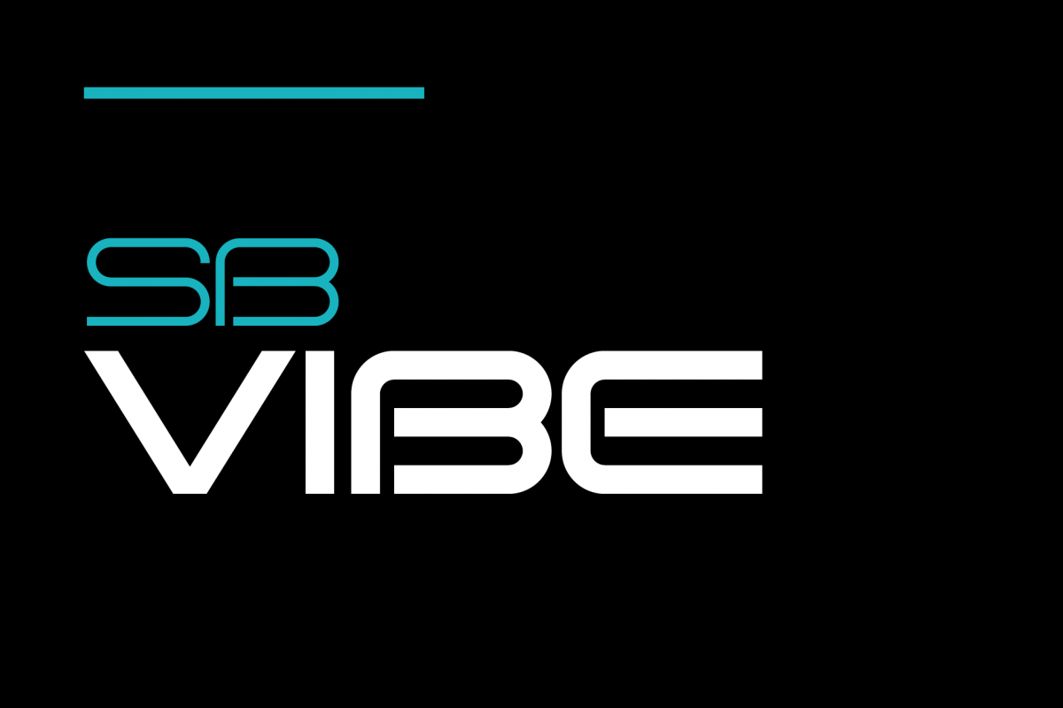 SB Vibe example image 1