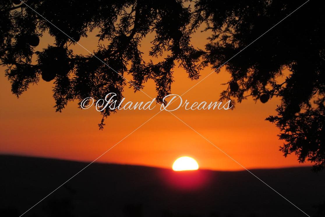 Sunset Backdrop example image 1