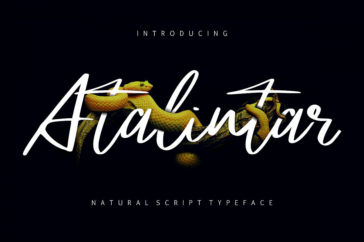 Atalintar | Natural Script Typeface example image 1