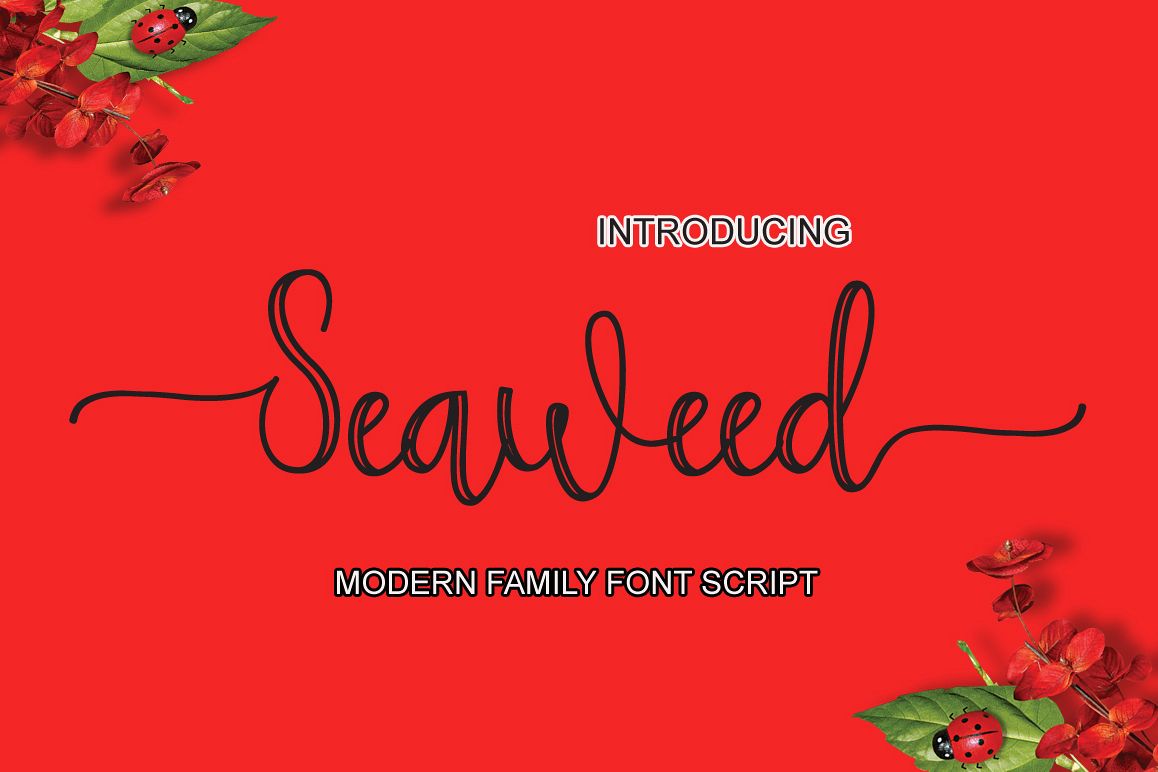 Seaweed example image 1