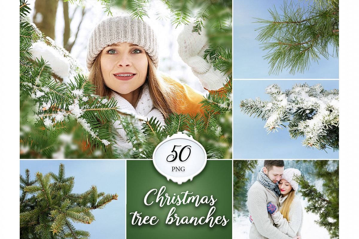 50 Christmas Tree Branch Overlays example image 1