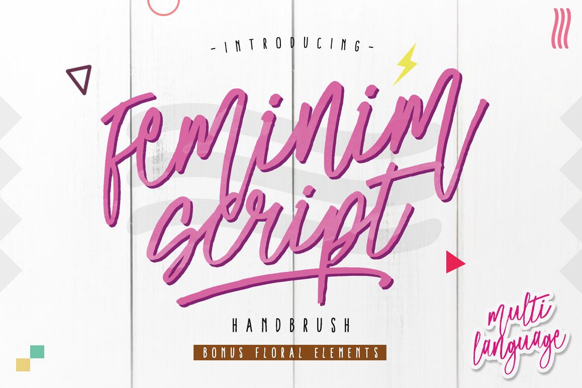 Feminim Script + Bonus example image 1