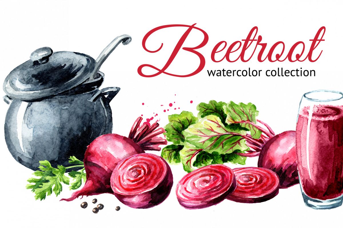 Beet root. Watercolor collection example image 1