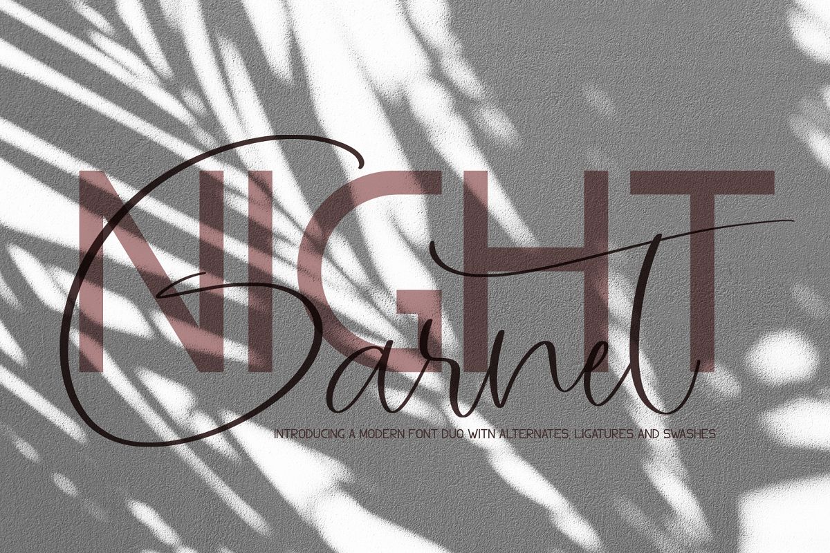 Garnet Night Font Duo example image 1