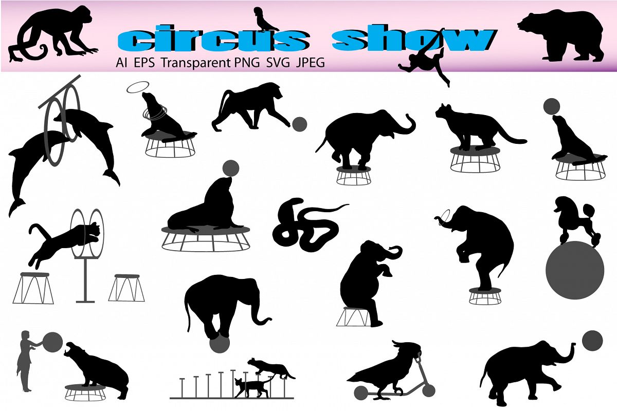Circus show example image 1