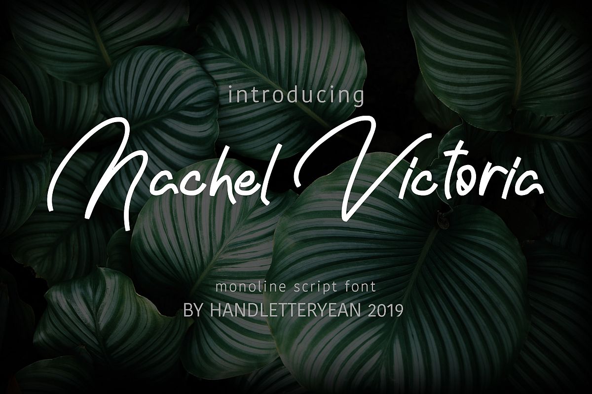 Nachel Victoria example image 1