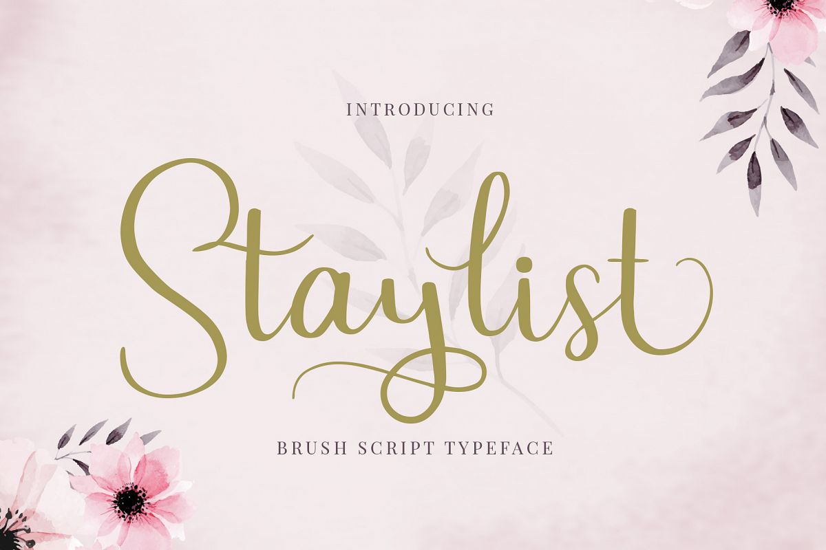 Staylist Script Font example image 1