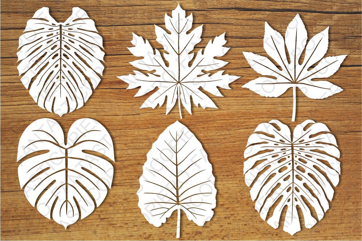 Tropical Leaves set1 SVG files for Silhouette and Cricut. example image 1
