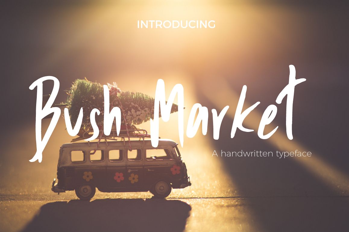 Bush Market Script Font example image 1