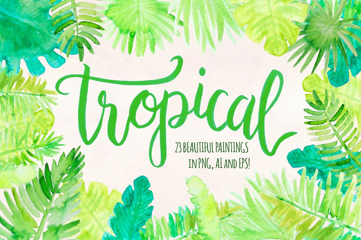 Tropical Palm Leaves 23 Natural Forest Elements example image 1
