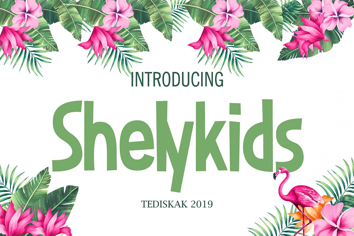 Shelykids example image 1
