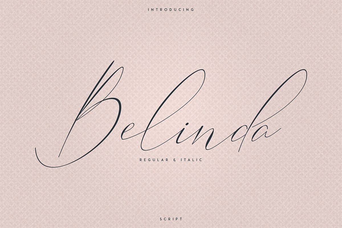Belinda Script - Regular and Italic example image 1