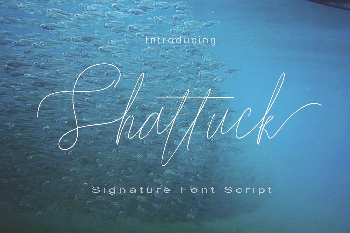 Shattuck example image 1