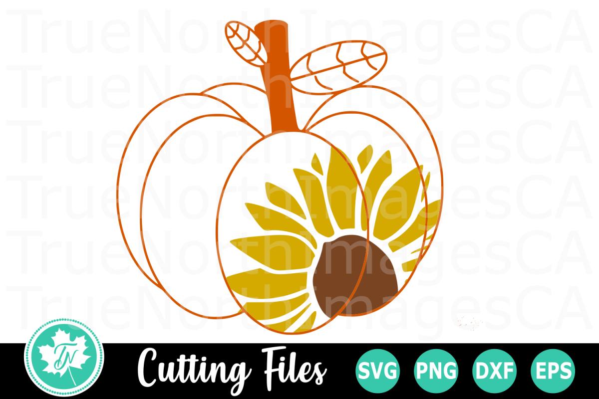 Download Sunflower Pumpkin - A Fall SVG Cut File