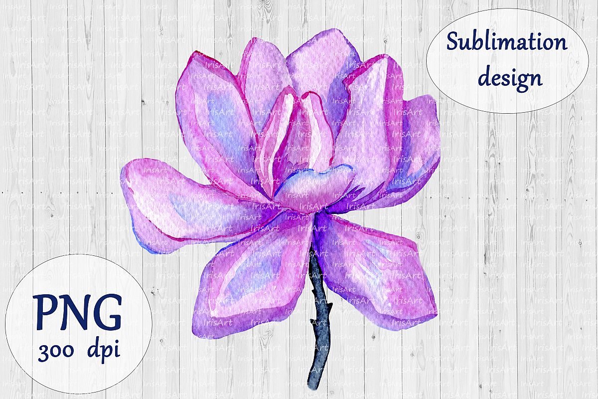 Watercolor Magnolia Flower - PNG Sublimation Design example image 1
