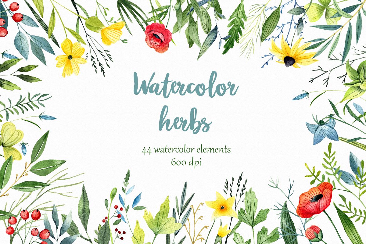 WATERCOLOR herbs, leaves, poppy, wild flowers example image 1