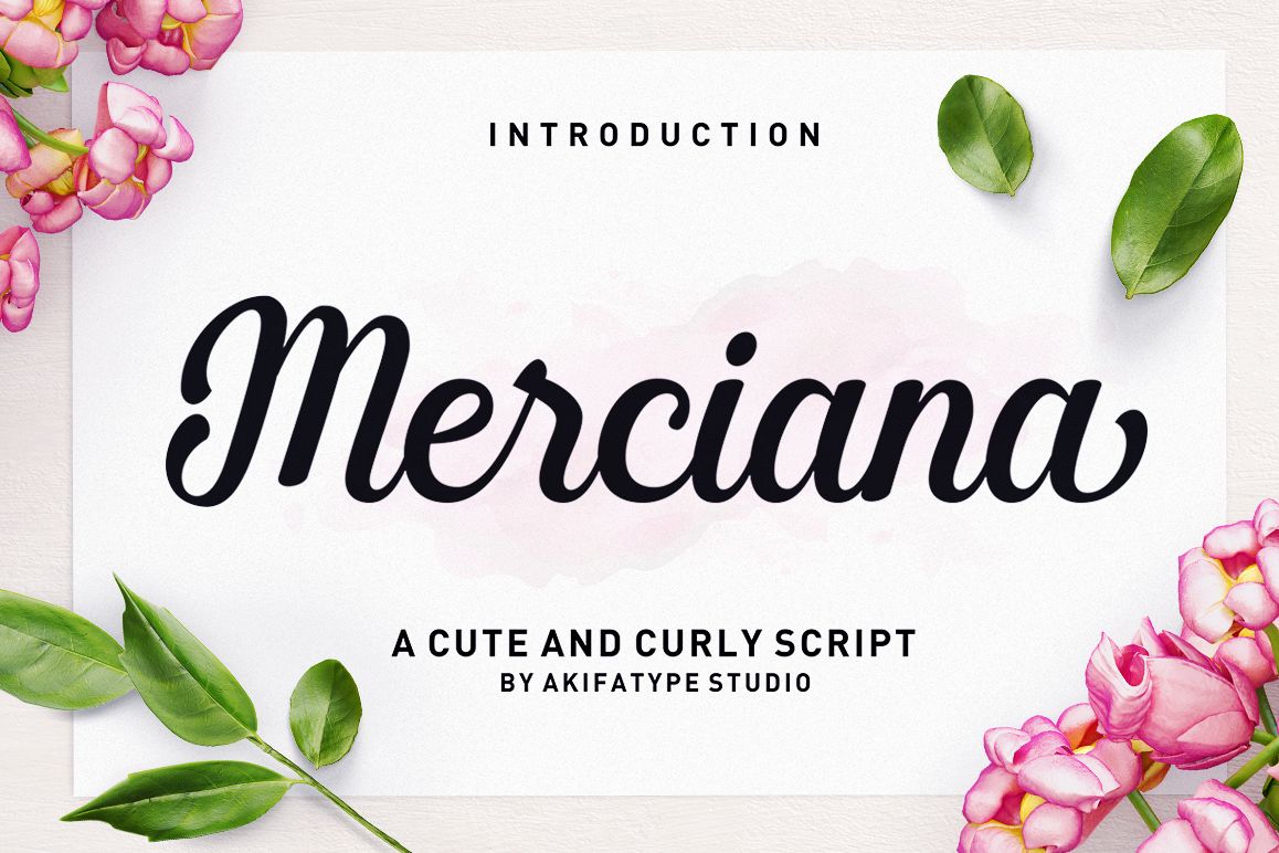 Merciana Script example image 1