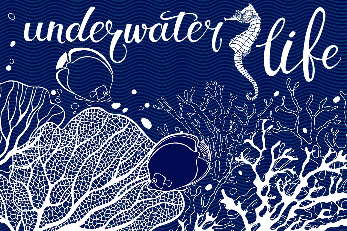 Underwater life. example image 1
