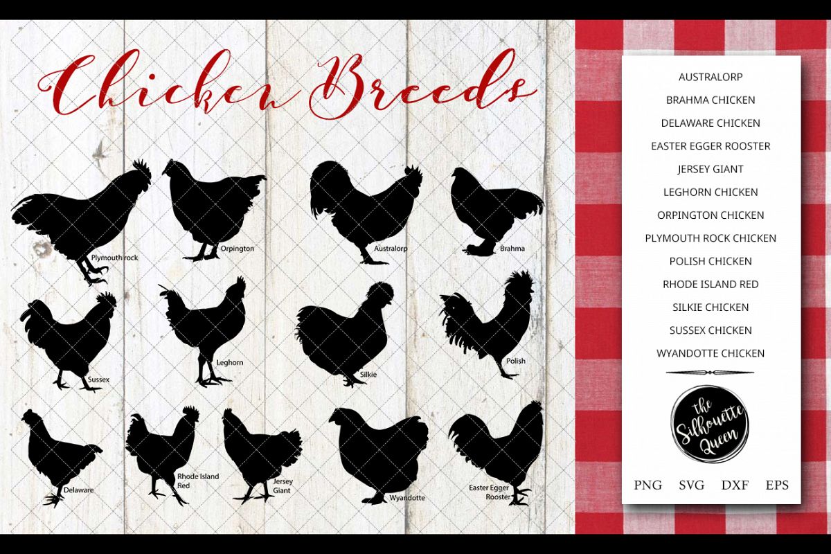 Chicken Breeds Silhouette Vector svg file example image 1