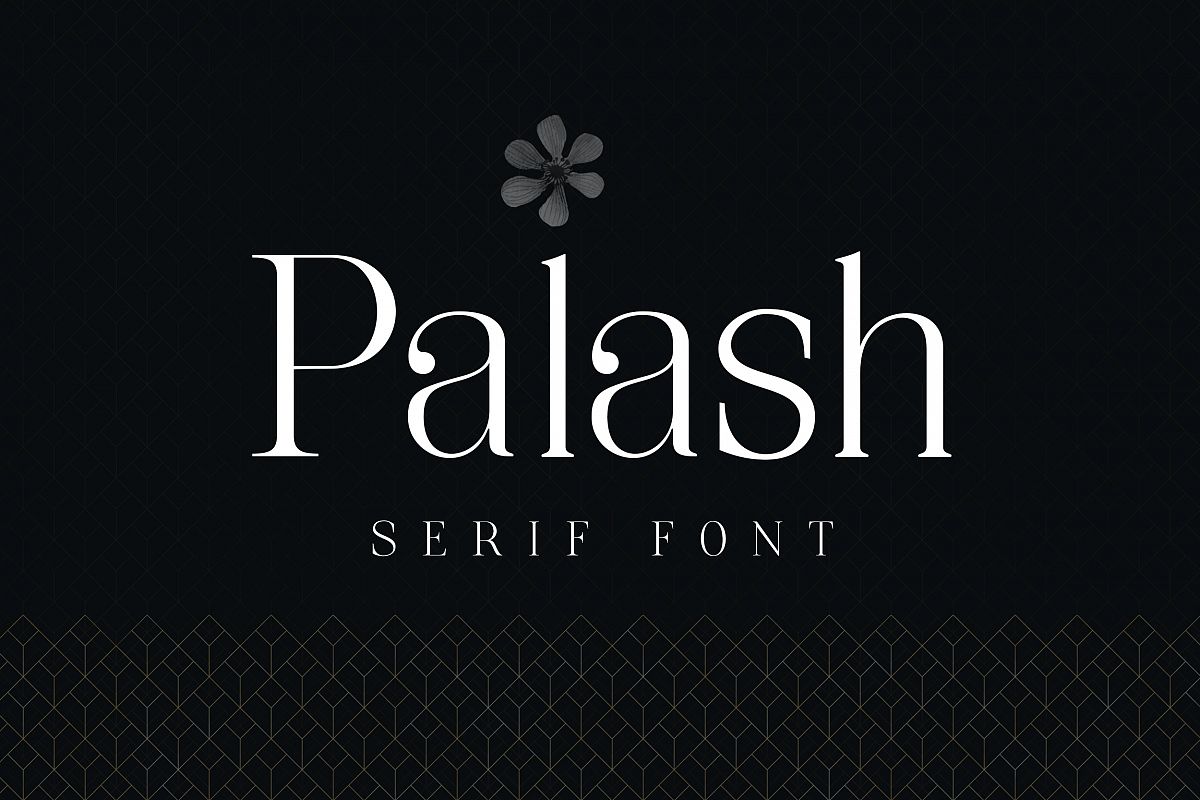 Palash - Serif Font example image 1