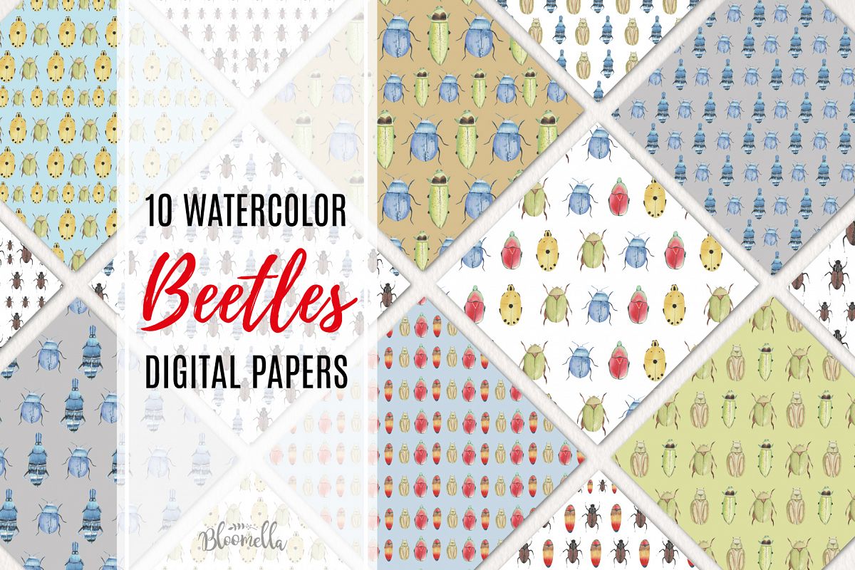Beetle Watercolor Digital Papers example image 1