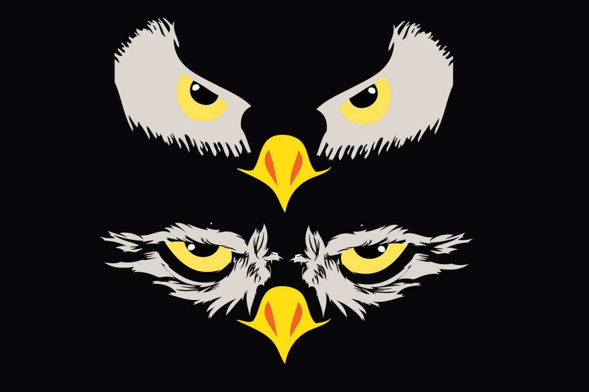 Football,SVG,Eagles,Eye,Logo,vector,Cricut,Silhouette,Sport example image 1