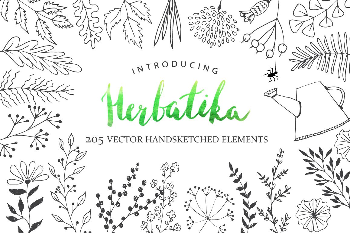Herbatika Vector Sketched Set example image 1