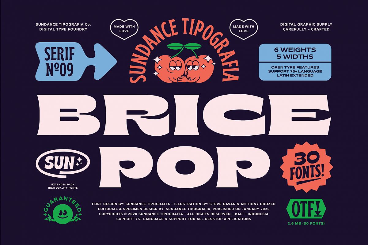 Brice Font Family example image 1
