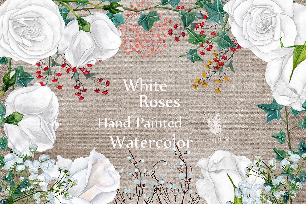 Watercolor white roses clipart example image 1