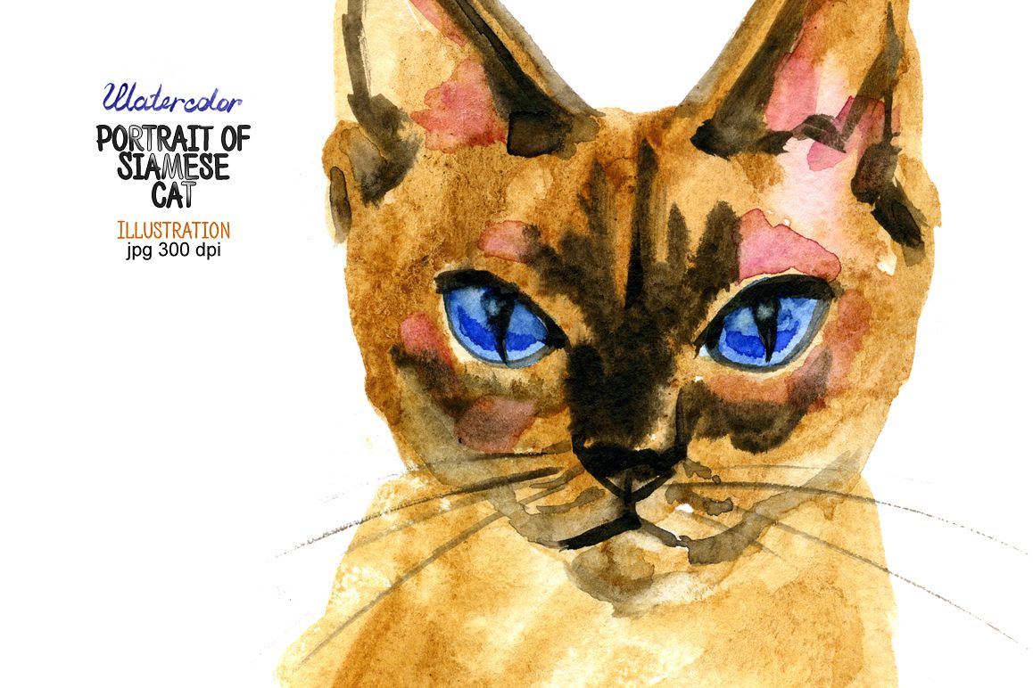 Watercolor portrait of Siamese cat example image 1