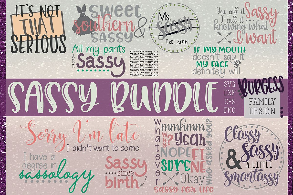 The Sassy bundle | SVG DXF EPS PNG example image 1