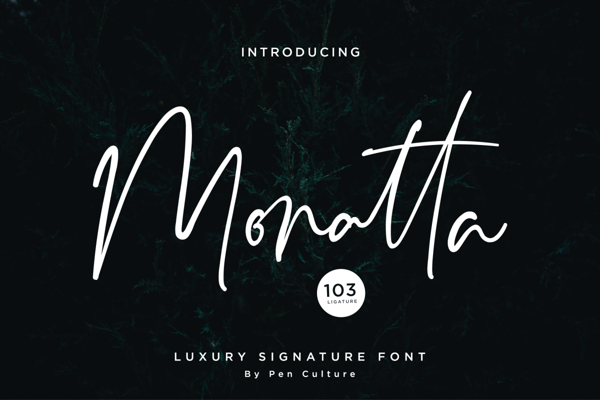 Monatta - Luxury Signature Font example image 1