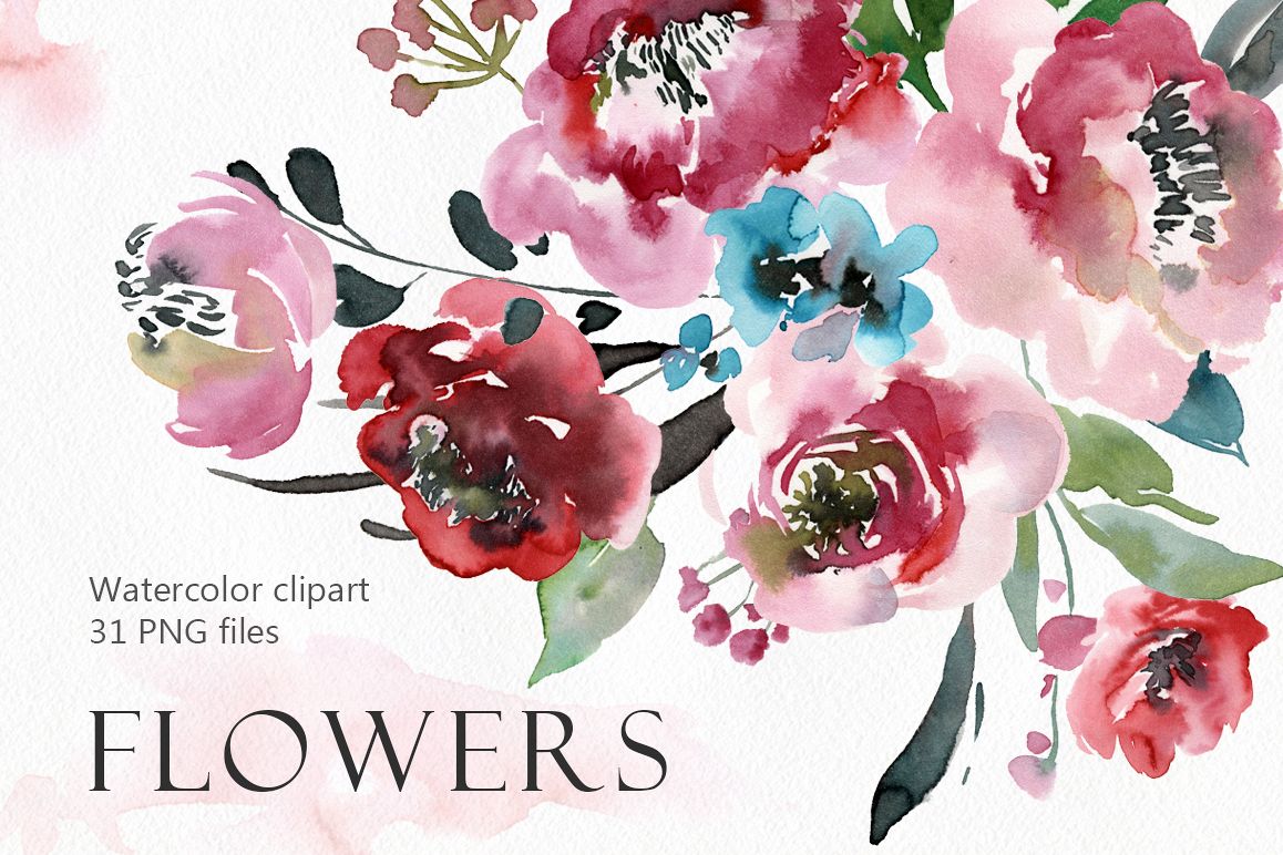Watercolor peony, roses flowers PNG collection example image 1