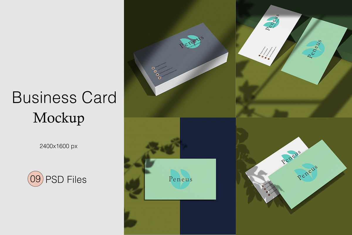 Businesscard Mockups example image 1