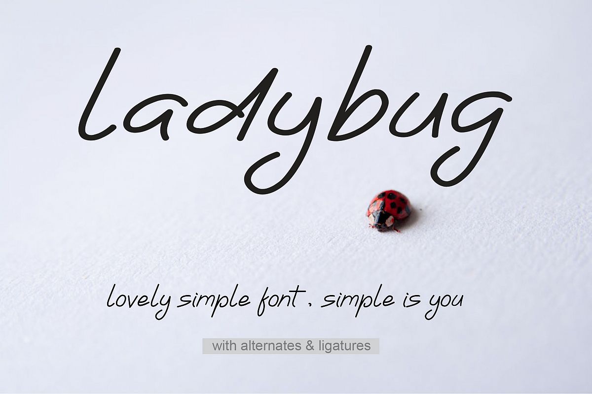 Ladybug | Simple Font example image 1