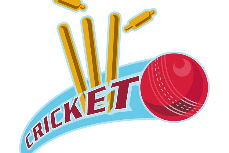 cricket sports ball wicket example image 1