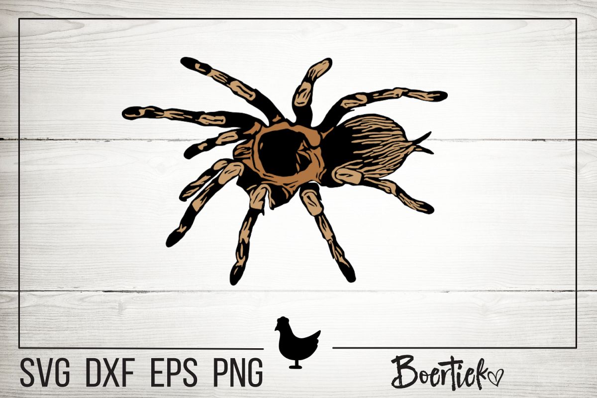 Tarantula SVG cutting file example image 1