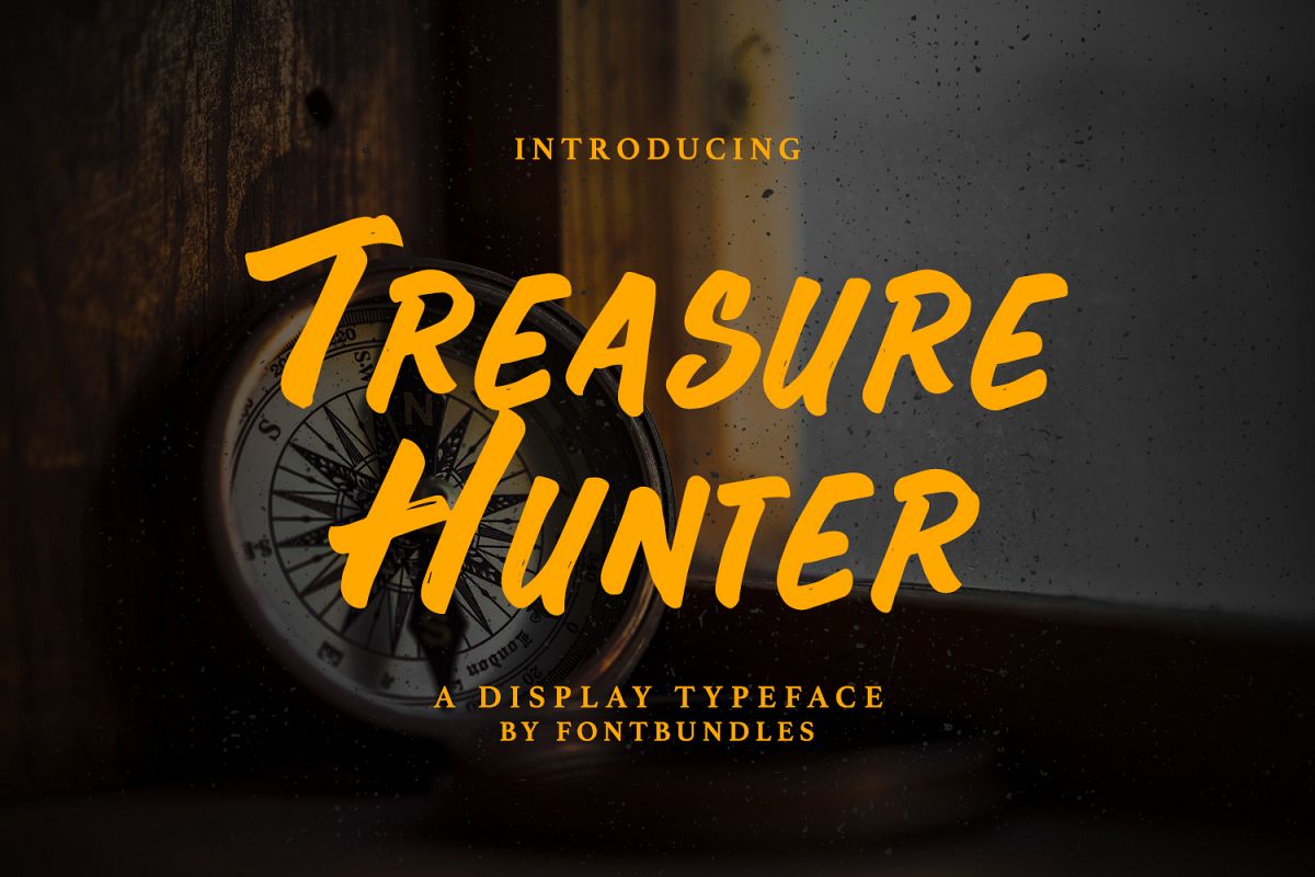 Treasure Hunter example image 1