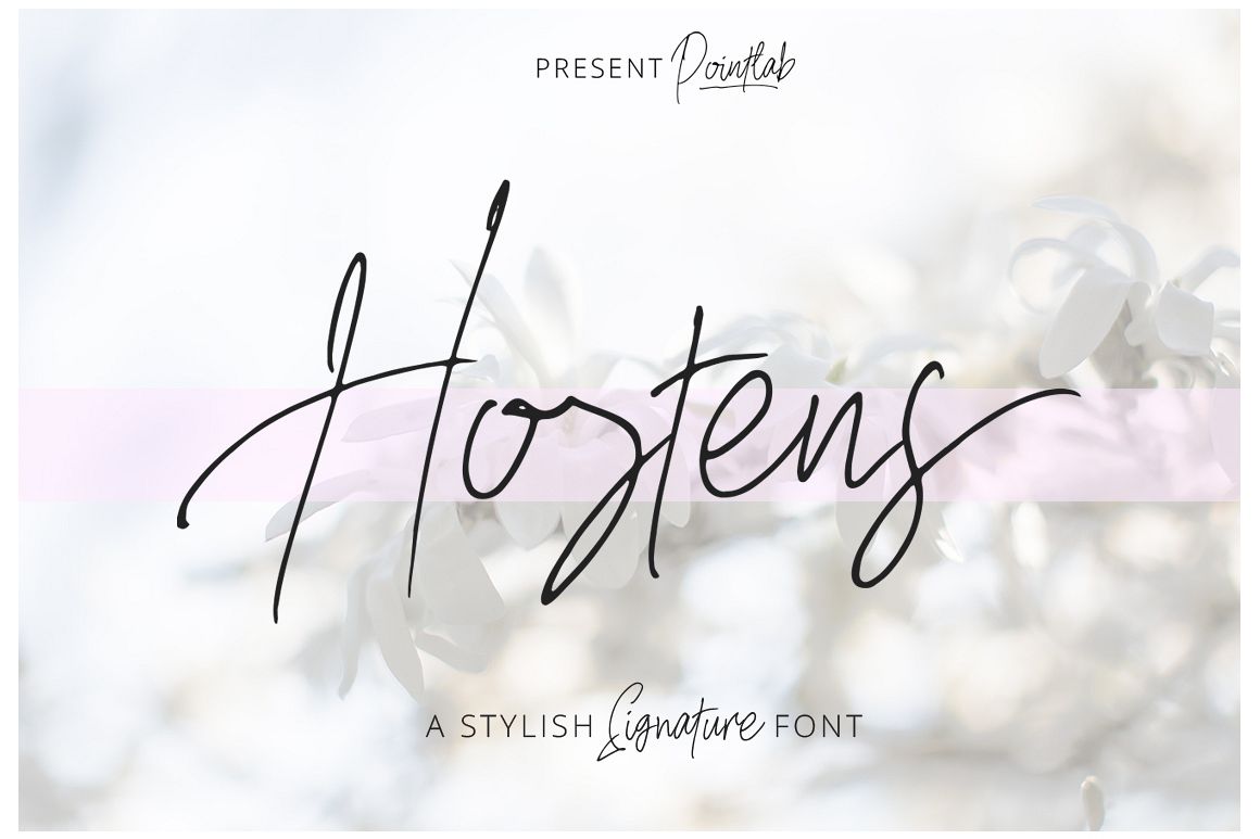 Hostens Signature example image 1